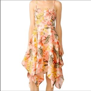 Joie Phara dusty nude tropical print dress